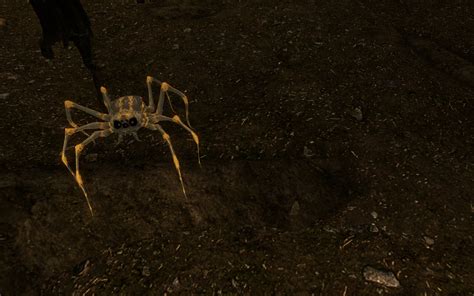 spiders skyrim|skyrim mod to remove spiders.